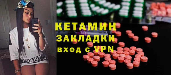 шишки Арсеньев