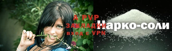 шишки Арсеньев