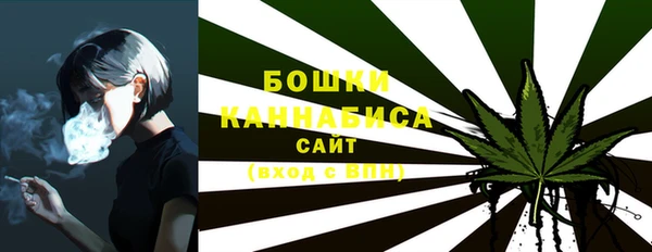 стафф Семёнов