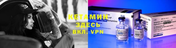 шишки Арсеньев