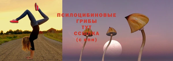 бошки Семикаракорск