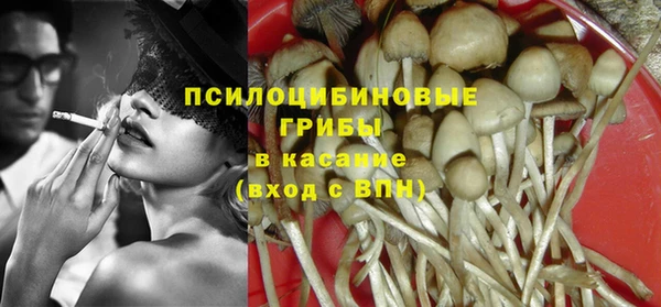 шишки Арсеньев