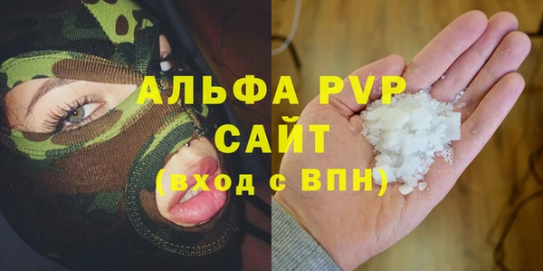 гашик Аркадак