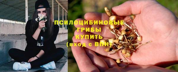 гашик Аркадак